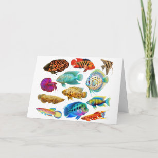 Freshwater Tropical Fishes Card