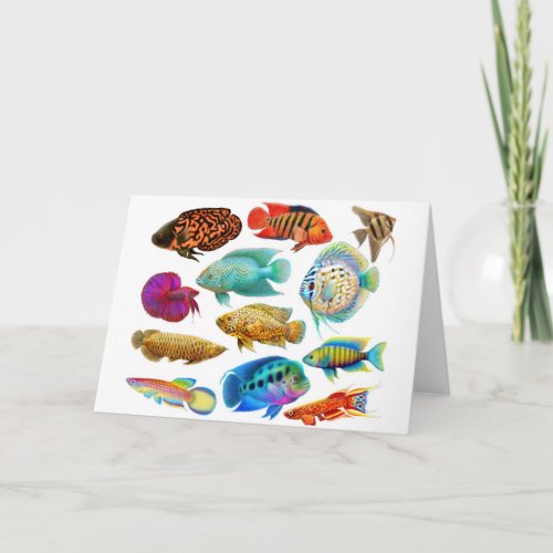 Freshwater Tropical Fishes Card