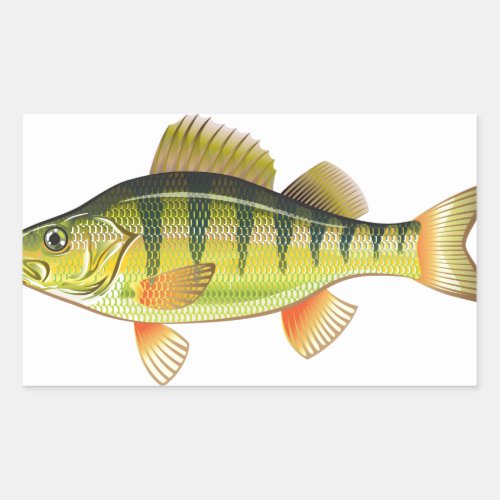 Freshwater Yellow Perch Vector Art graphic design Rectangular Sticker