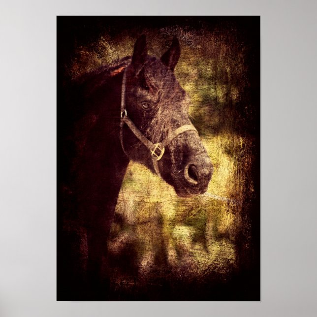 Fresian Grunge Poster (Front)