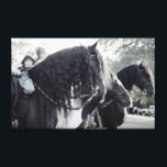 Fresian, Horses Canvas Print<br><div class="desc">Wall decor for the fresian horse fan</div>