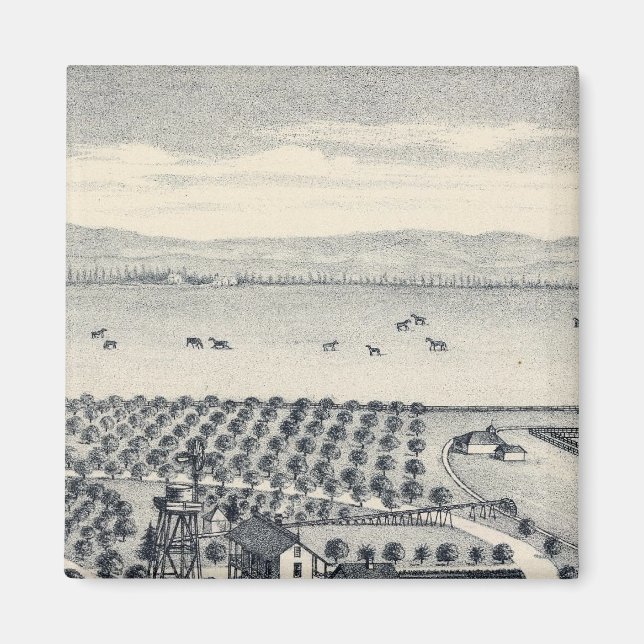 Fresno County, California 20 Magnet (Front)