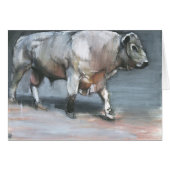 Fresno Galloway Bull (Front Horizontal)