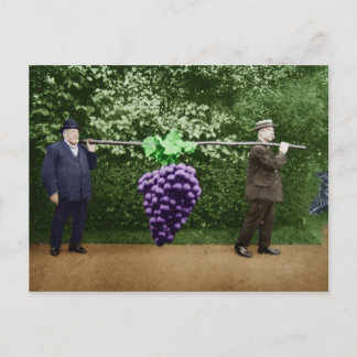 Friar Park Postcard #17