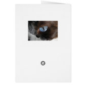 Frida Catrina (Back)