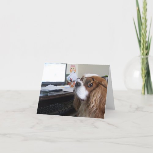 Friday Cavalier King Charles Spaniel at the office Card