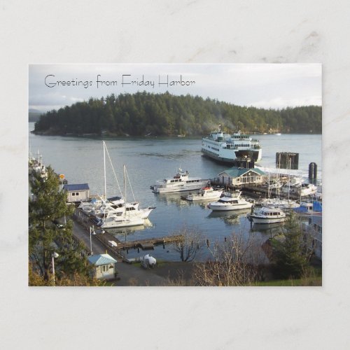 Friday Harbor greetings Postcard