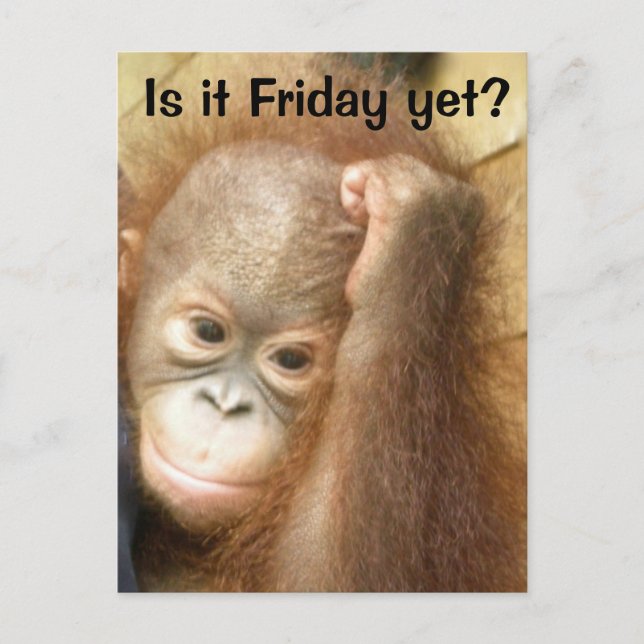 Friday Postcard (Front)