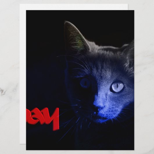 friday the 13th (Front/Back)