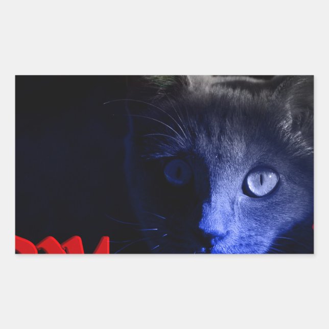 friday the 13th rectangular sticker (Front)