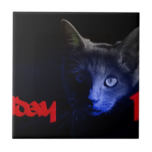 friday the 13th tile (Front)