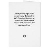 Fridays Mug Shot (Back)