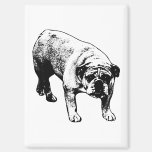Fridge Cheer Bulldog Magnet
