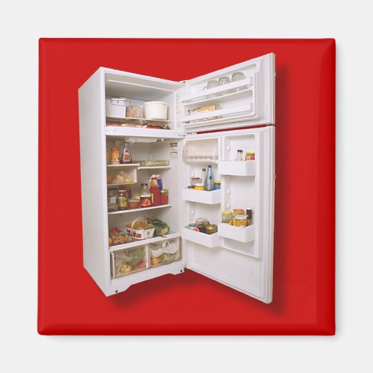 FRIDGE DOOR FOR YOUR FRIDGE DOOR