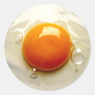 Fried Egg "Sunny side up" Photo Classic Round Sticker