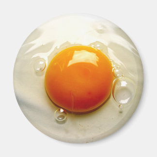 Fried Egg Sunny side up Photo Magnet