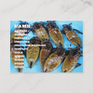 Fried Giant Water Bug (Maeng Daa) ... Asian Food Business Card