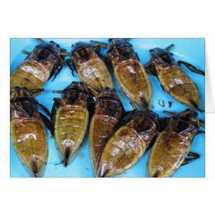 Fried Giant Water Bug (Maeng Daa) ... Asian Food Cards