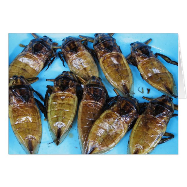Fried Giant Water Bug (Maeng Daa) ... Asian Food Cards (Front Horizontal)