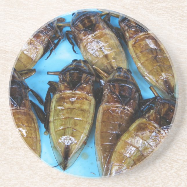 Fried Giant Water Bug (Maeng Daa) ... Asian Food Drink Coaster (Front)