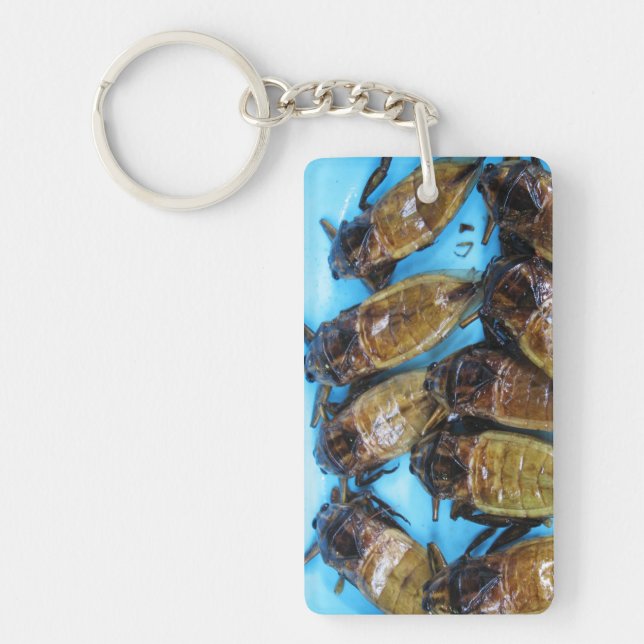 Fried Giant Water Bug (Maeng Daa) ... Asian Food Keychain (Front)