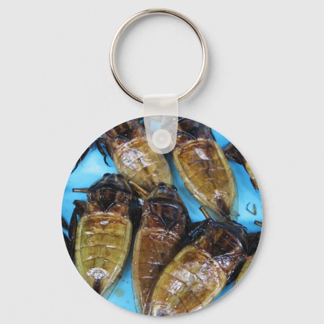 Fried Giant Water Bug (Maeng Daa) ... Asian Food Keychain (Front)