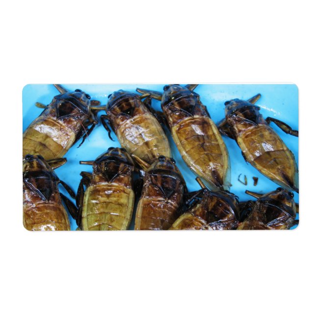 Fried Giant Water Bug (Maeng Daa) ... Asian Food Label (Front)