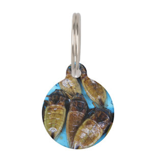 Fried Giant Water Bug (Maeng Daa) ... Asian Food Pet Name Tag