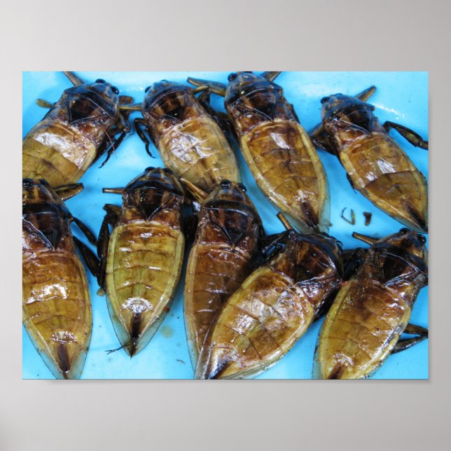 Fried Giant Water Bug (Maeng Daa) ... Asian Food Poster (Front)