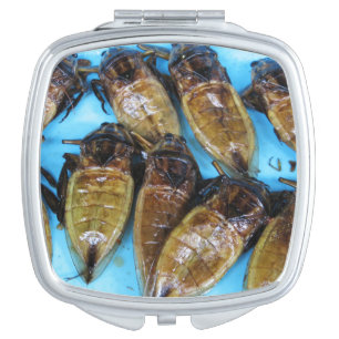 Fried Giant Water Bug (Maeng Daa) ... Asian Food Vanity Mirror