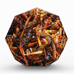 Fried Grasshopper (Takkataen Thot) Asian Food Acrylic Award