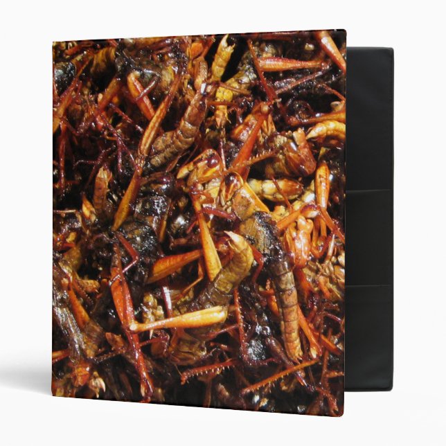 Fried Grasshopper (Takkataen Thot) Asian Food Binder (Front/Inside)
