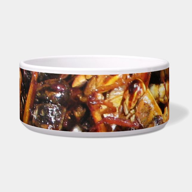 Fried Grasshopper (Takkataen Thot) Asian Food Bowl (Front)