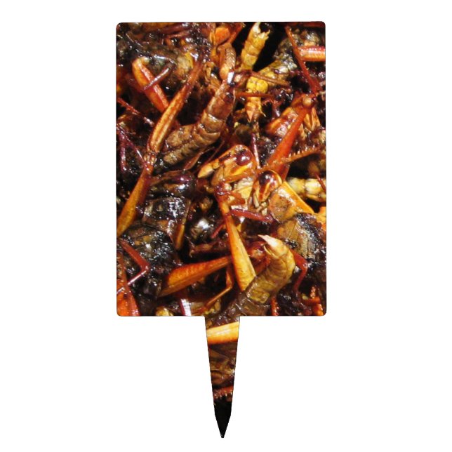 Fried Grasshopper (Takkataen Thot) Asian Food Cake Topper (Front)