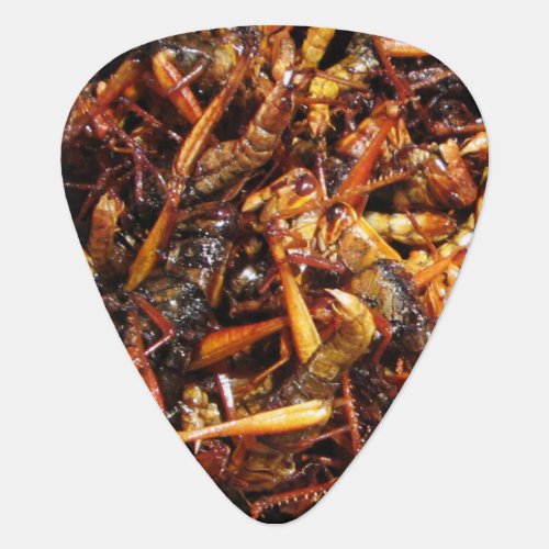 Fried Grasshopper Takkataen Thot Asian Food Guitar Pick