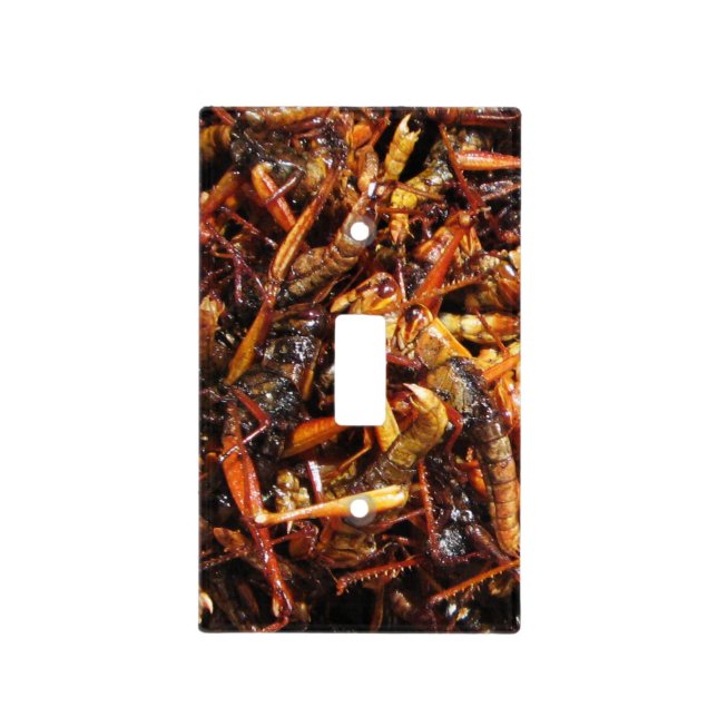 Fried Grasshopper (Takkataen Thot) Asian Food Light Switch Cover (Front)