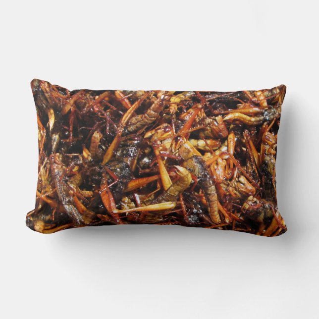Fried Grasshopper (Takkataen Thot) Asian Food Lumbar Pillow (Front)