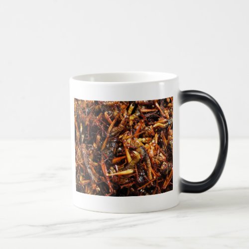 Fried Grasshopper Takkataen Thot Asian Food Magic Mug