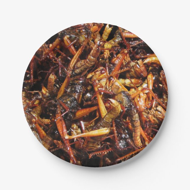 Fried Grasshopper (Takkataen Thot) Asian Food Paper Plates (Front)
