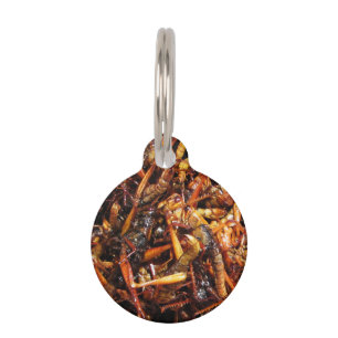 Fried Grasshopper (Takkataen Thot) Asian Food Pet Name Tag
