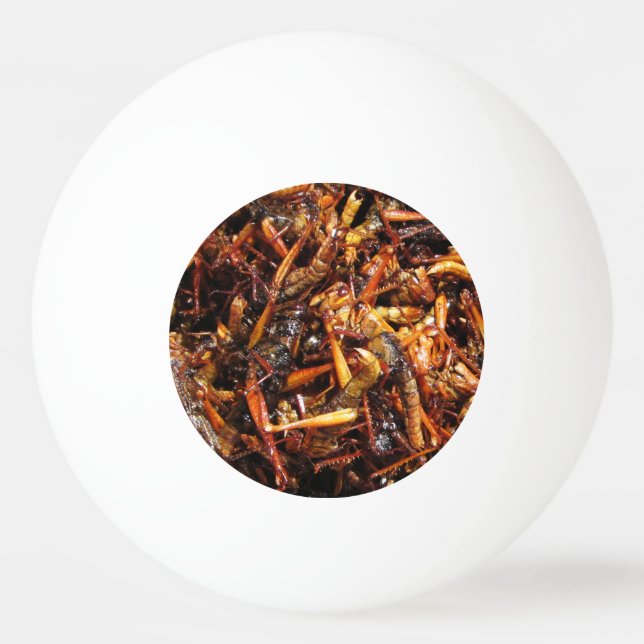 Fried Grasshopper (Takkataen Thot) Asian Food Ping-Pong Ball (Front)