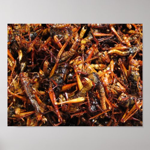 Fried Grasshopper Takkataen Thot Asian Food Poster