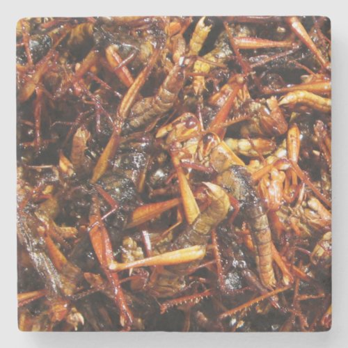 Fried Grasshopper Takkataen Thot Asian Food Stone Coaster