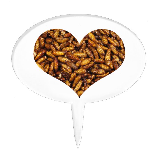 Fried Silk Worms Heart Cake Topper (Front)