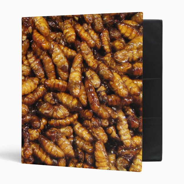 Fried Silk Worms ... Thai Street Food 3 Ring Binder (Front/Inside)