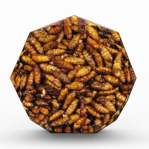 Fried Silk Worms ... Thai Street Food Award