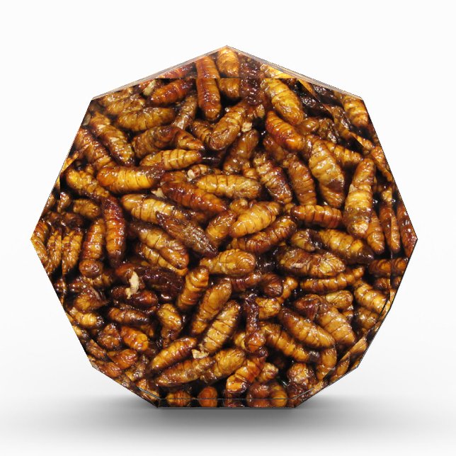 Fried Silk Worms ... Thai Street Food Award (Front)