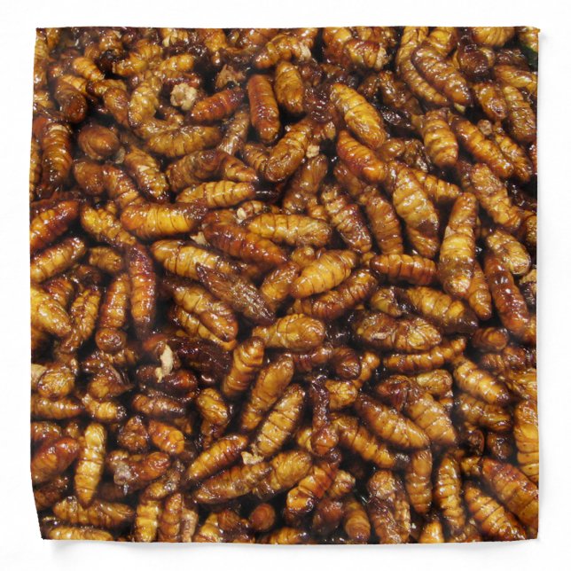 Fried Silk Worms ... Thai Street Food Bandana (Front)