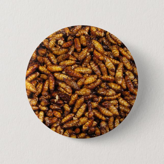 Fried Silk Worms ... Thai Street Food Button (Front)