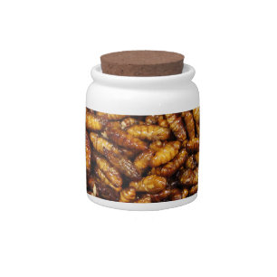 Fried Silk Worms ... Thai Street Food Candy Jar